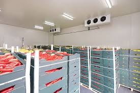 Preserving Freshness: The Critical Role of Chilled Storage in Jeddah and Dammam
